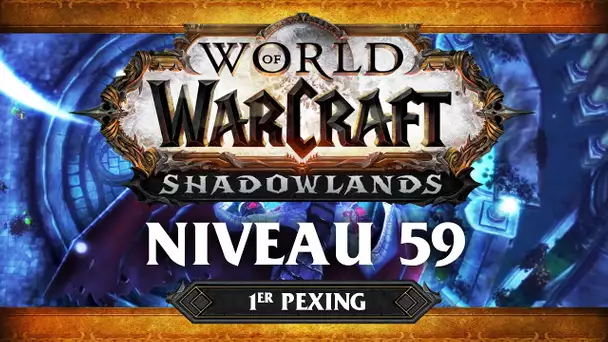 WoW Shadowlands #8 : Niveau 59 (ft. Lapi, Gius, Kenny et Flora)