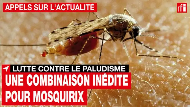 Lutte contre le paludisme : une combinaison inédite pour Mosquirix