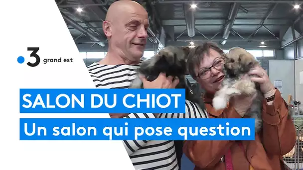 Mulhouse : la Ville dénonce l'organisation d'un salon du chiot