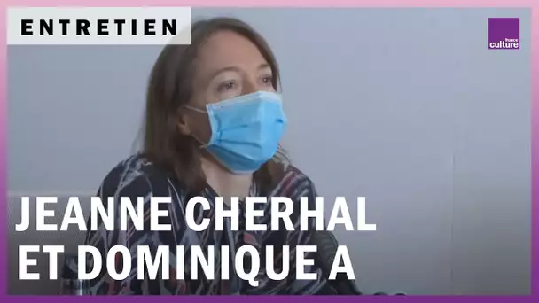 Les Vies étranges de Jeanne Cherhal et Dominique A