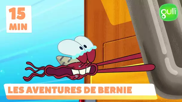 Les aventures de Bernie - Compilation épisodes 19, 20 et 21 (épisodes en entier)