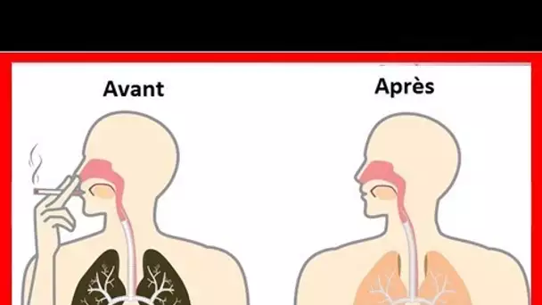 Une méthode Ultra-Efficace pour éliminer naturellement la nicotine de vos poumons … (Mode d’Emploi)