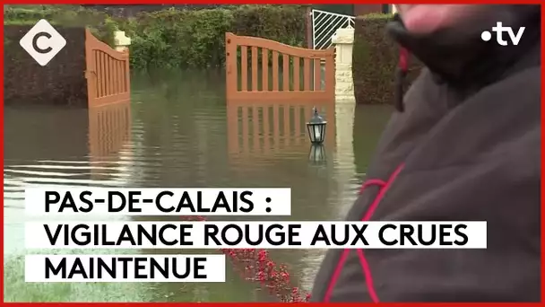 Crues dans le Pas-de-Calais, accord sur la biodiversité.. - Le 5/5 - C à Vous - 10/11/2023