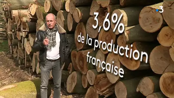 Dossier : l&#039;exploitation forestière dans les Hauts-de-France