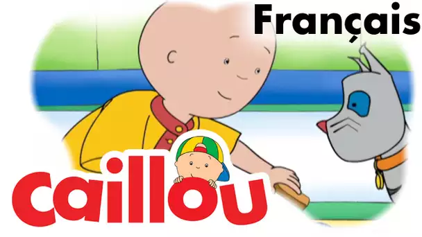 Caillou FRANÇAIS - La folie des aimants  (S04E10) | conte pour enfant | Caillou en Français