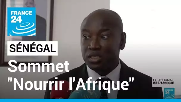 Sommet "Nourrir l'Afrique" : une vingtaine de chefs d'Etat réunis à Dakar • FRANCE 24