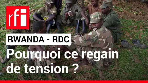 Rwanda - RDC : « On soupçonne les rebellions pro-rwandaises de n’avoir pas coupé le lien ombilical »