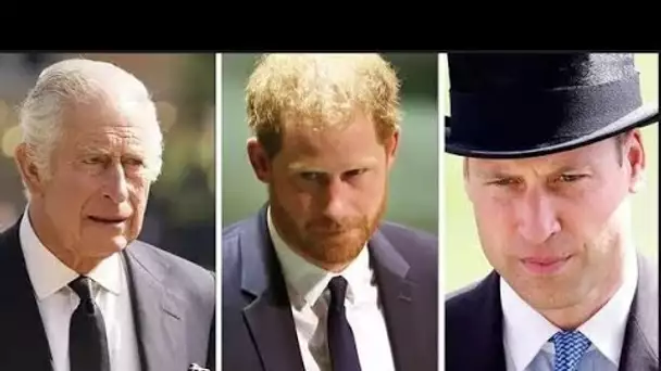 « Amer » Harry a dit qu'il devait céder à King et William alors que les Sussex commençaient à perdre