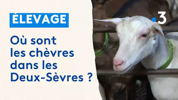 Où sont les chèvres dans les Deux-Sèvres ?