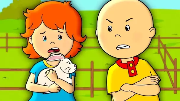 Caillou et le Lapin | Caillou | WildBrain Enfants