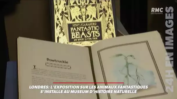 Londres: l'exposition sur les animaux fantastiques s'installe au Museum d'Histoire naturelle