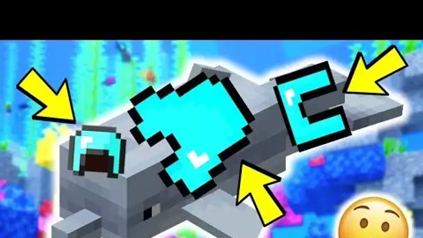 Voici le BUG SECRET des DAUPHINS dans MINECRAFT !!!