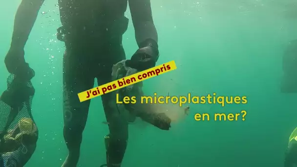 J'ai pas bien compris : les microplastiques en mer
