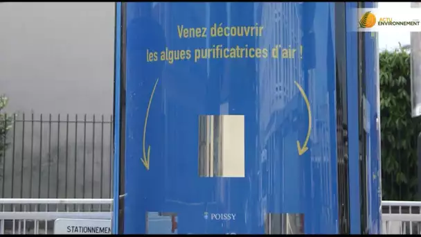 Poissy mise sur le puits de carbone pour purifier son air