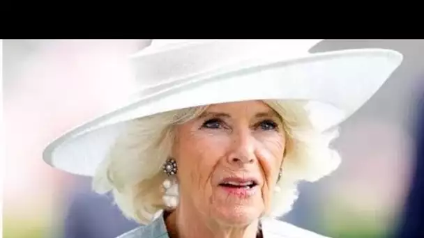 Camilla a "crachoté dans son thé" à cause de la suggestion du prince Harry sur la guérison de la fai