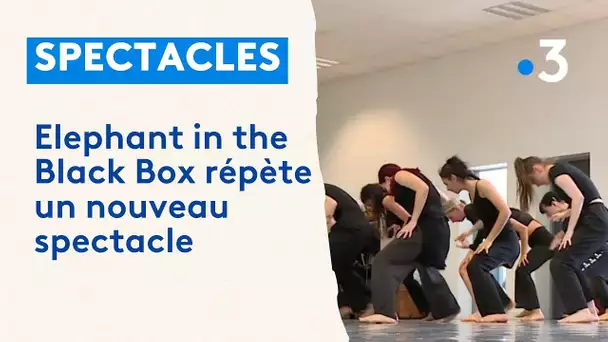 Pau : Elephant in the Black Box répète un nouveau spectacle