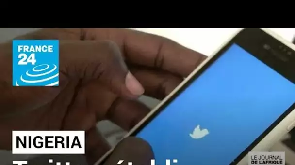 Twitter rétabli au Nigeria : les usagers entre soulagement et indignation • FRANCE 24