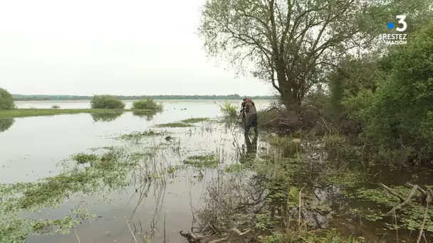 Coronavirus : Le lac de Grand-Lieu en mode confiné