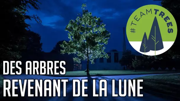 🚀 + 🌲 L'histoire des Moon Trees - #TeamTrees