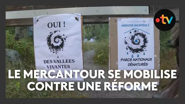 Le Mercantour se mobilise contre la fusion des parcs nationaux pour préserver la biodiversité