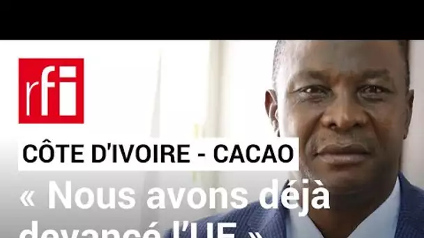 Côte d'Ivoire : les planteurs de cacao dans le viseur de l’UE, les autorités réagissent • RFI