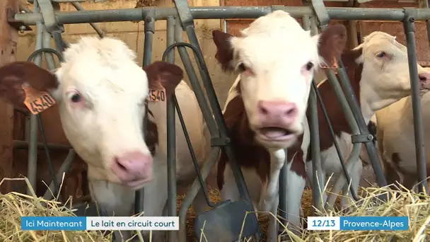 A Sigoyer, dans les Hautes Alpes à la rencontre de producteurs de lait.