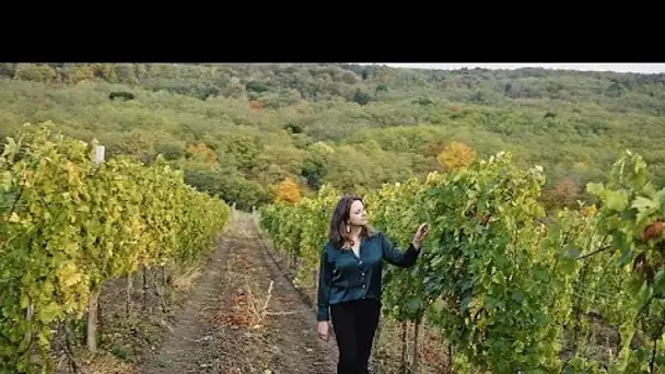 À la découverte de la production de vin en Moldavie : sous terre, dans les vignes et depuis les a…