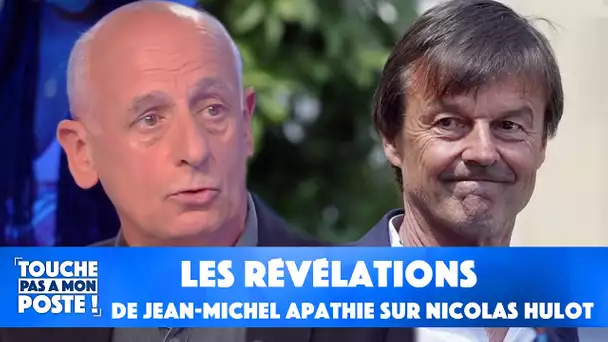 Nicolas Hulot accusé de viol : les révélations de Jean-Michel Aphatie dans TPMP