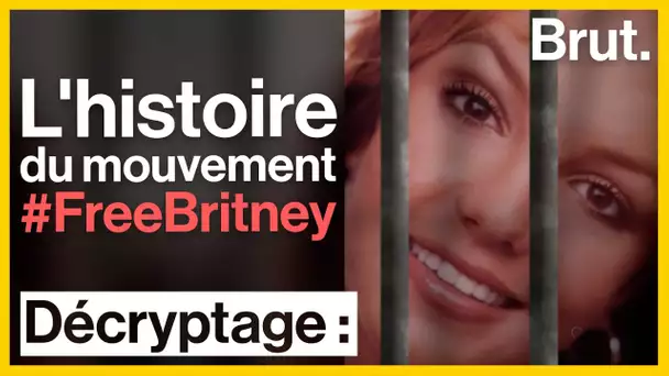 Britney Spears : l'histoire de sa tutelle et du mouvement #FreeBritney