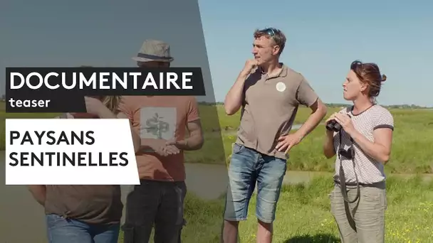 DOCUMENTAIRE. Paysans sentinelles [le teaser]