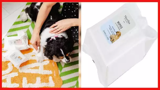 MARTHA STEWART for Pets Puppy Wipes in Grapefruit | Natural Hypoallergenic Dog Grooming Wipes