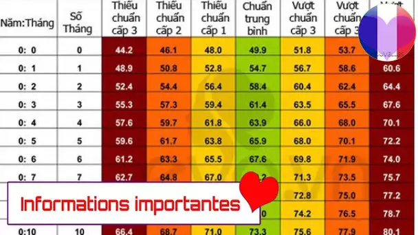 Votre poids idéal en fonction de votre taille