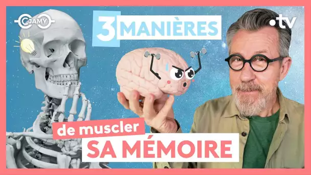 🧠 Comment préserver sa mémoire ?