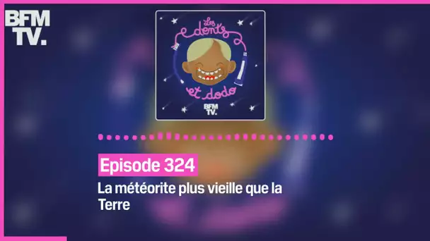 Episode 322 : La météorite plus vieille que la Terre - Les dents et dodo