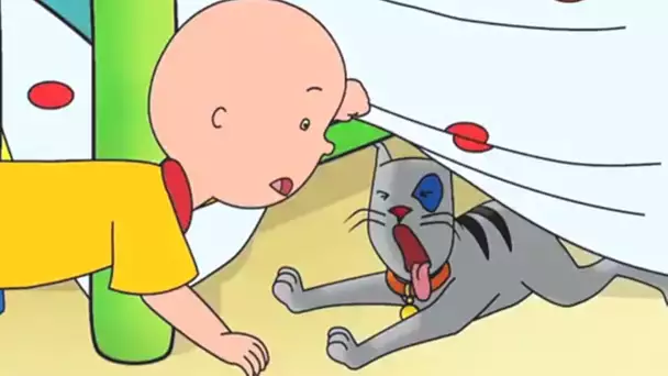 Caillou en Français | Caillou et le Chat Perdu | 524 | dessin animé | NOUVEL ÉPISODE HD