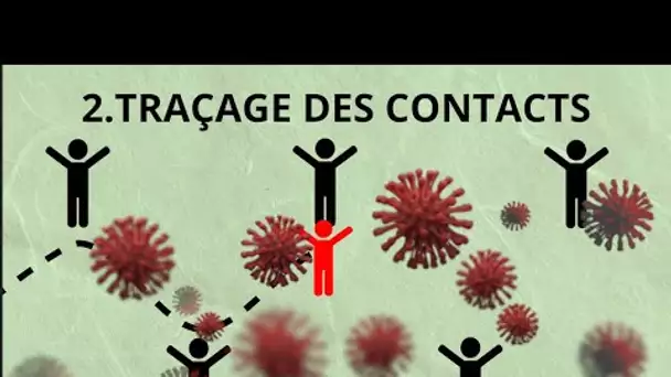 Coronavirus : comment contrôler une épidémie, mode d'emploi