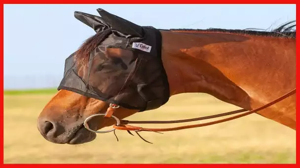 Cashel Quiet Ride Fly Mask with Ears