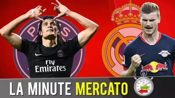 Le PSG retient CAVANI, une grosse offre du REAL MADRID à venir pour WERNER ?