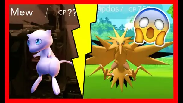 UN FAKE MEW ? ♦ LES STATS DES LEGENDAIRES ENFIN CONNUES ! PokeNews #24