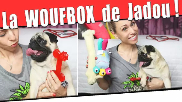 La WoufBox testée par Jadou , femelle Carlin ! #PuggyLove