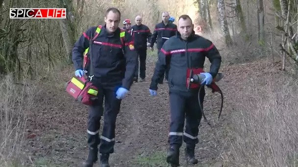 Alerte en forêt : les pompiers en action