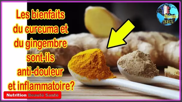 Les bienfaits du curcuma et du gingembre sont-ils anti-douleur et inflammatoire?