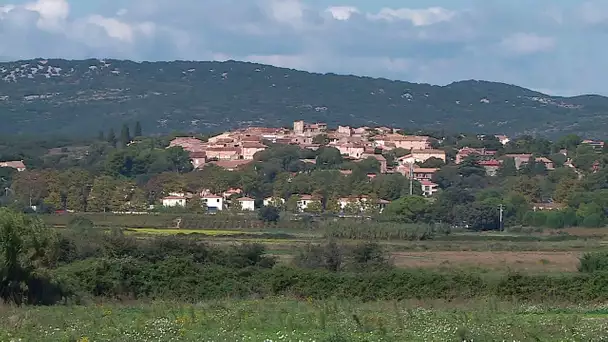 Hérault : une plantation de cannabis découverte chez une élue de Cournonsec, 3 personnes arrêtées
