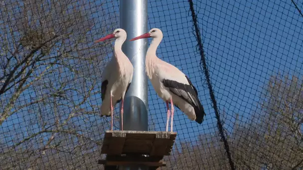 Coronavirus et confinement : les inquiétudes du parc animalier de Grammat dans le Lot