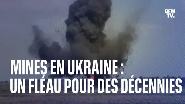 Ukraine: le fléau des mines promet déjà de durer des décennies