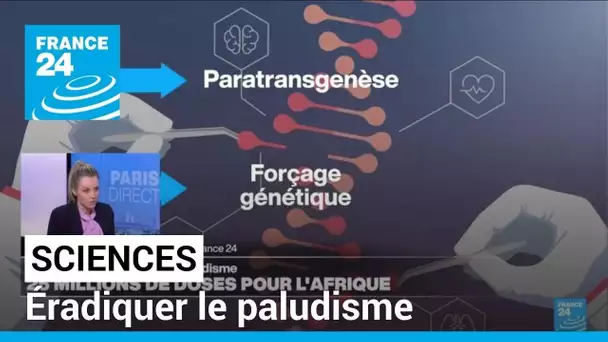 Comment éradiquer le paludisme et les autres maladies vectorielles ? • FRANCE 24