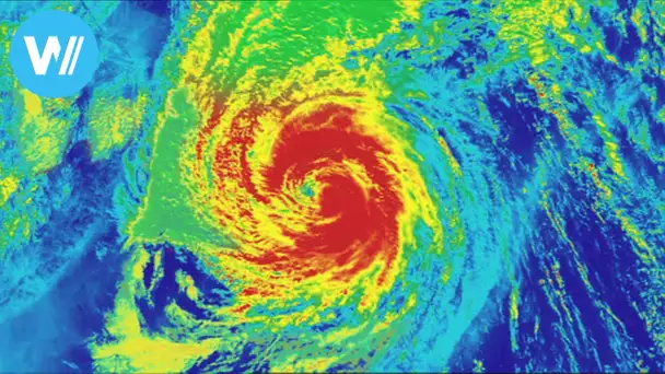 Der Weg des Taifun - Wie können die tropischen Wirbelstürme besser vorhergesagt werden?