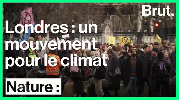 Mouvement 'Extinction Rebellion' : la désobéissance civile s&#039;organise à Londres