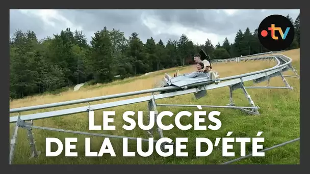 Luge sur rails : une station de ski mise sur l'été pour compenser le manque de neige en hiver