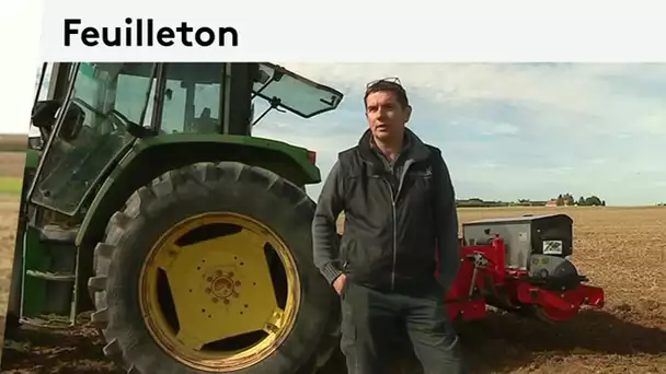 feuilleton 2